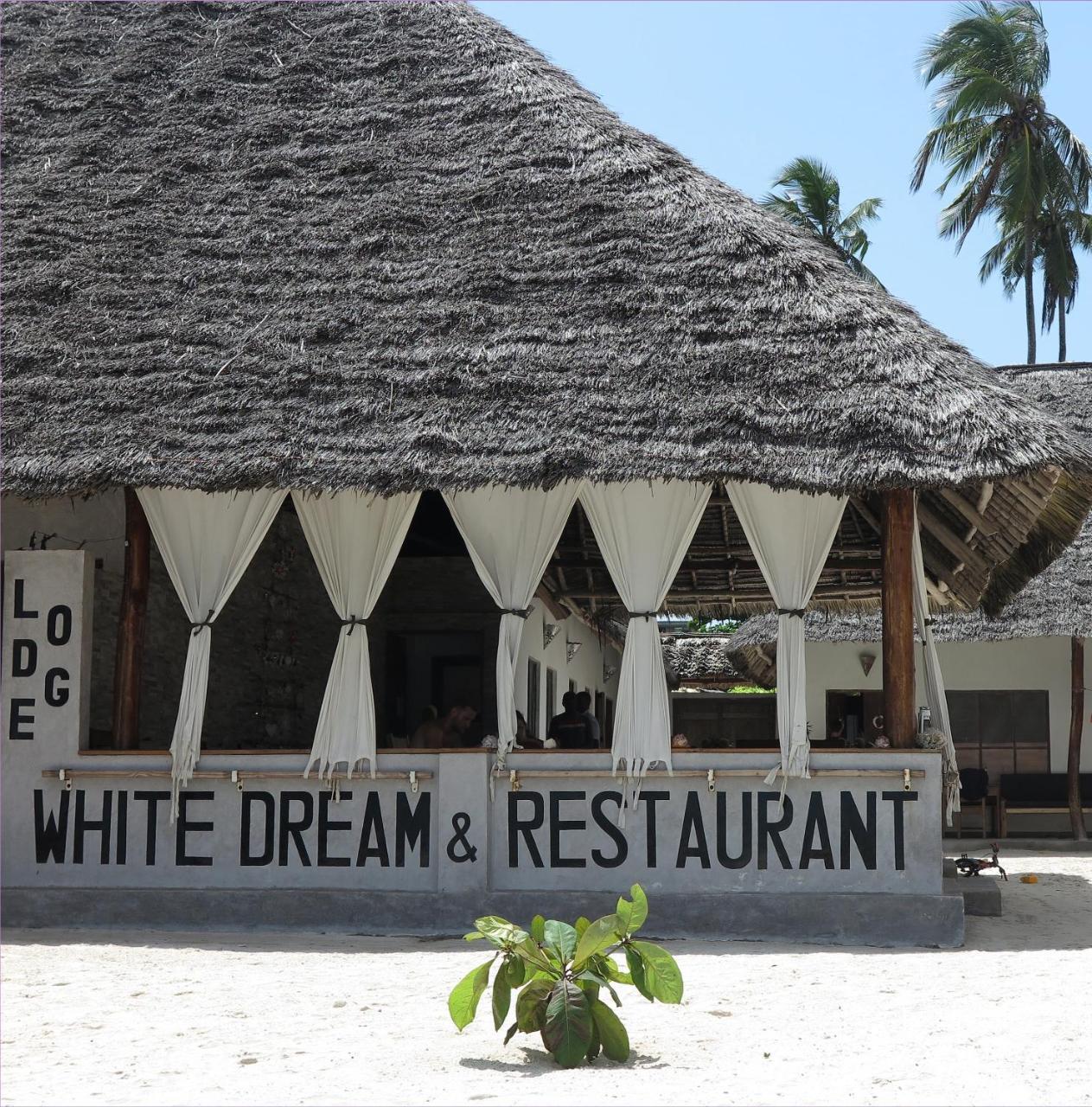 White Dream Bed and Breakfast Kiwengwa  Buitenkant foto